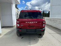 Big Bend 4x4 Engine: 1.5L ECOBOOST (image 3)