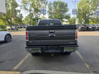 2013 FORD F-150 XLT 5.0L V8 6 SPEED AUTOMATIC FEATURES: XLT CONVENIENCE PACKAGE TRAILER BRAKE CONTRO... (image 5)