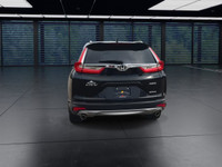 A top-tier compact SUV combining comfort, technology, and practicality. The Touring trim includes le... (image 6)