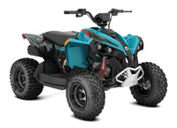 2023 CAN-AM Renegade 70 EFI