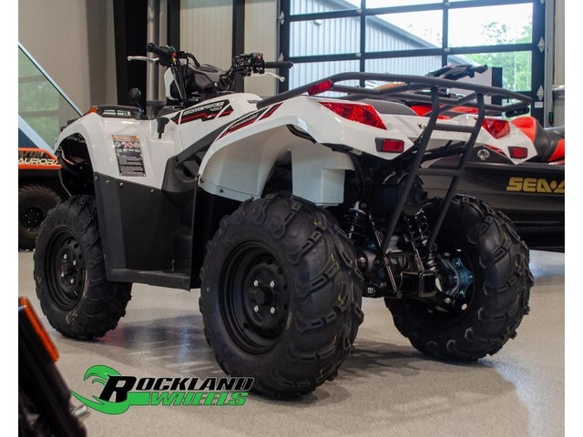2025 Kawasaki BRUTE FORCE 450 in ATVs in Ottawa - Image 4