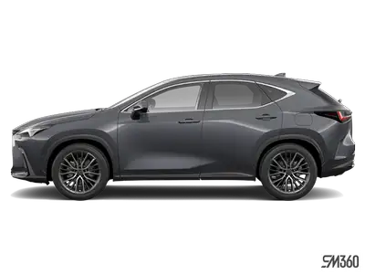 GARNISSAGE DES SIÈGES EN NOIR|F SPORT 3 - PEINTURE HAUT DE G|01L1 GRIS ORAGE Engine: 4 Cylinder Engi...