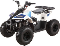 2023 Gio Blazer 110H Quad ATV