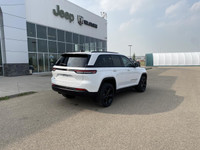 Thanks for checking out our Mountain View Dodge inventory! DEMO DEMO Rear seat reminder, Front Heate... (image 4)