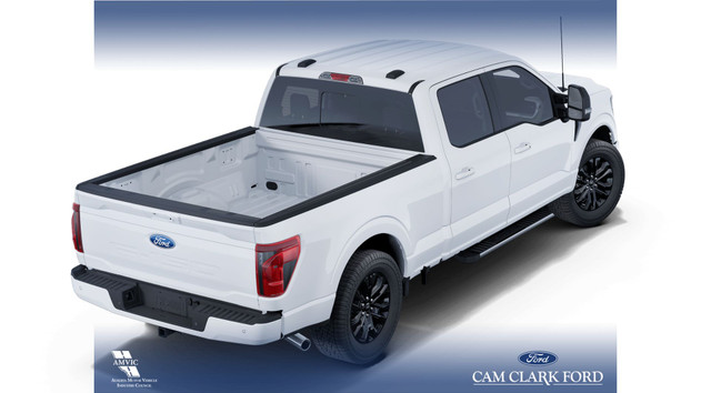 2025 Ford F-150 XLT in Cars & Trucks in Red Deer - Image 4