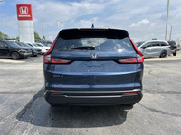 Experience the refined comfort and capability of this 2023 Honda CR-V EX-L, boasting a stunning Cany... (image 5)