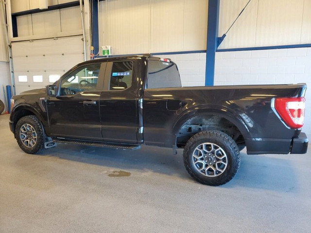  2021 Ford F-150 STX PACKAGE in Cars & Trucks in Moose Jaw - Image 3