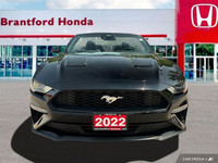 Unleash the thrill of open-air driving with this stunning 2022 Ford Mustang I4CV Convertible. Boasti... (image 8)
