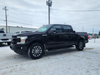 Leather Seats, Cooled Seats, Aluminum Wheels, Apple CarPlay, Android Auto, Ford Co-Pilot360, Dynamic... (image 1)