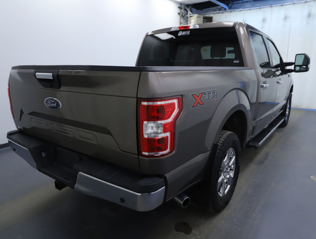 2019 Ford F-150 XL CLEAN CARFAX | V8 | BACK UP CAMERA in Cars & Trucks in Lethbridge - Image 4