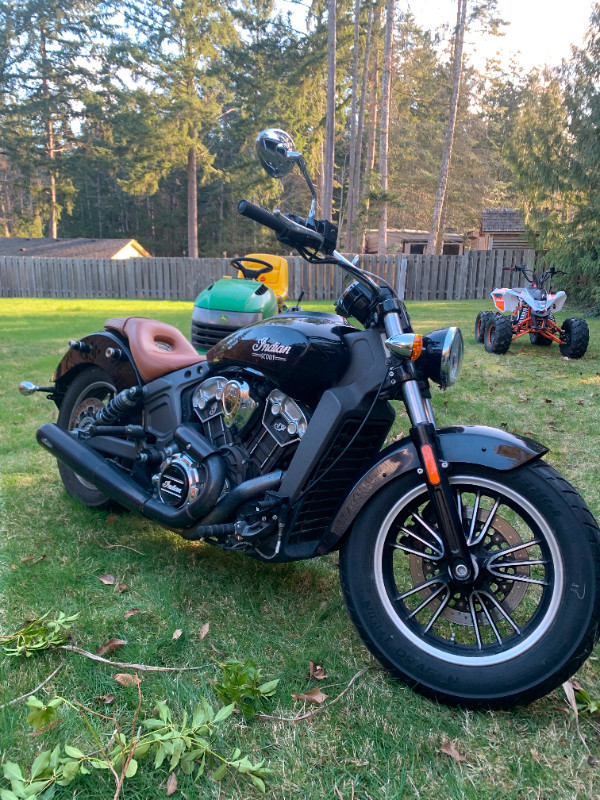 2020 INDIAN SCOUT (FINANCING AVAILABLE) in Street, Cruisers & Choppers in Strathcona County - Image 3