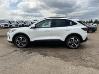 **WE WILL BEAT ANY FORD DEALER IN THE CITY** The 2025 Ford Escape ST-Line Select builds on the aggre... (image 3)