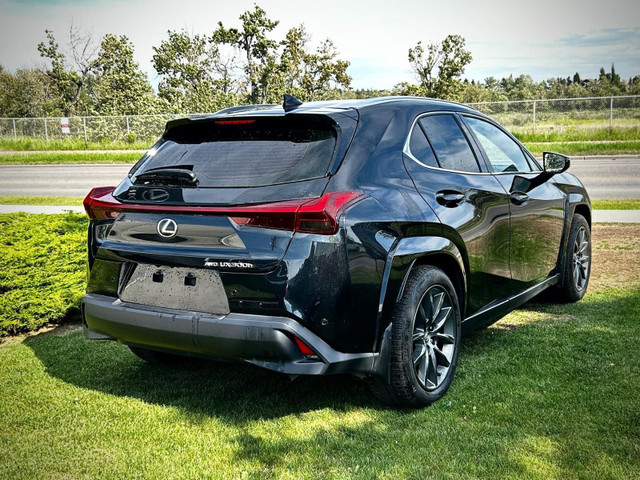 2025 Lexus UX 300h in Cars & Trucks in Calgary - Image 3