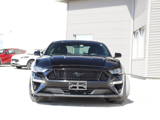  2019 Ford Mustang in Cars & Trucks in Winnipeg - Image 4