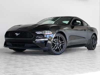 Ford Mustang EcoBoost Fastback 2022 ++ GARANTIE 10 ANS ++