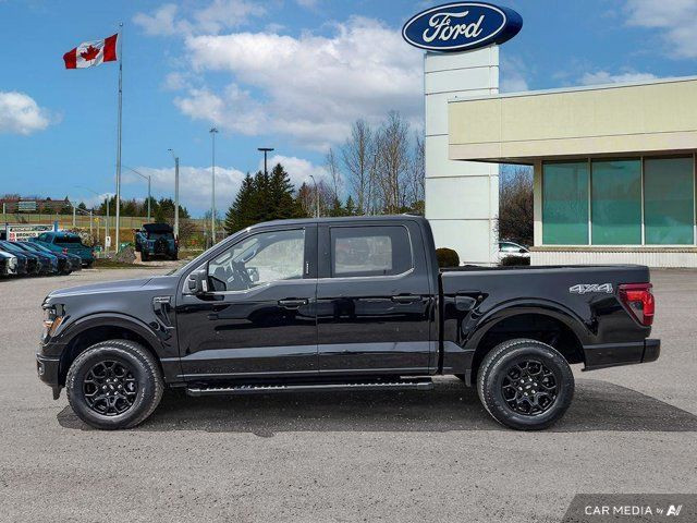 2024 Ford F-150 XLT in Cars & Trucks in Kitchener / Waterloo - Image 4