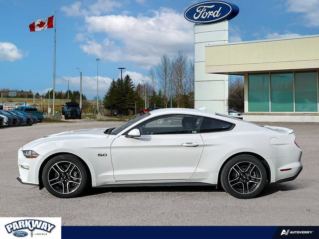 2021 Ford Mustang GT ONE OWNER | 460 HP | AUTOMATIC in Cars & Trucks in Kitchener / Waterloo - Image 3