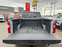 Dark Appearance Package, Remote Start, Cruise Control, Back-Up Camera, Front & Rear Park Assist, EZ... (image 8)