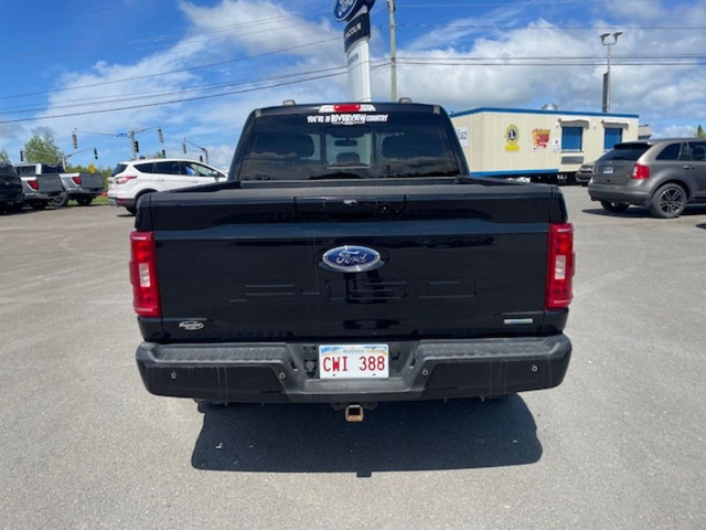 2021 Ford F-150 in Cars & Trucks in Fredericton - Image 4