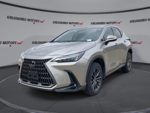 2024 Lexus NX NX 250 in Cars & Trucks in Hamilton