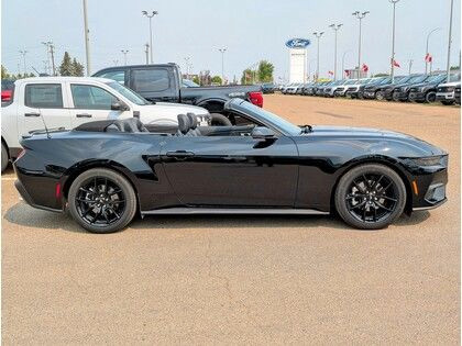 2024 Ford Mustang ECOBOOST PREMIUM CONVERTIBLE w/NITE PONY PKG in Cars & Trucks in Edmonton - Image 3