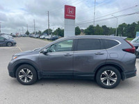 Come visit our London Honda team, you can find us at 560 Wharncliffe Rd S, London, ON, N6J 2N4, or c... (image 2)