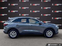 Check out this 2024 Ford Escape Active before it's too late! * This Ford Escape is a Bargain with Th... (image 6)