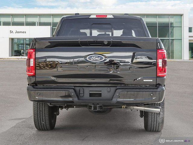 2022 Ford F-150 XLT 302A | PANORAMIC SUNROOF | SPORT APPEARANCE in Cars & Trucks in Winnipeg - Image 4