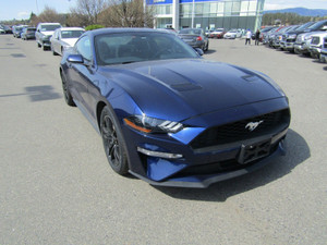 2019 Ford Mustang EcoBoost NO ACCIDENT! SPORTS CAR! LOW KMS!