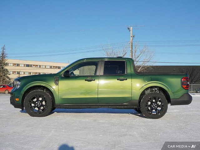 2025 Ford Maverick XLT Hybrid in Cars & Trucks in Edmonton - Image 3