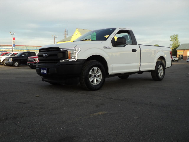 2019 Ford F-150 XL RegCab 2WD 3.3L6cylGas 8' Box BackUpCam in Cars & Trucks in Brantford