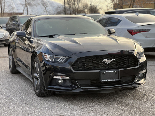 2015 Ford Mustang 2dr Fastback V6 / No Accidents, Clean Carfax. in Cars & Trucks in City of Toronto - Image 3