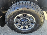2023 Ford Super Duty F-350 SRW Platinum 4WD Crew Cab 6.75' Box, 6.7L V8 Diesel, Tremor Package, Heat... (image 9)