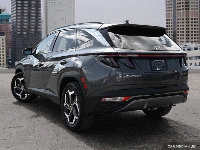 2024 Hyundai Tucson Hybrid Luxury AWD| 3M | No Accidents in Cars & Trucks in Calgary - Image 4