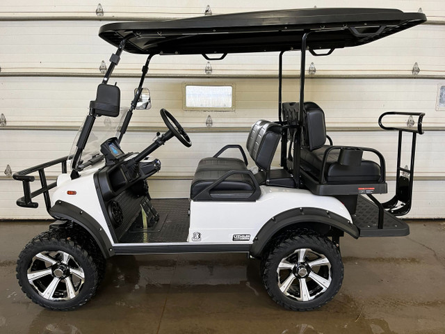 2023 HDK Express Forester 4 Plus Golf Cart in ATVs in Moose Jaw - Image 2