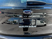 Former Daily Rental: ENGINE: TWIN-SCROLL 2.0L ECOBOOST -inc: auto start-stop technology (STD), Wheel... (image 7)