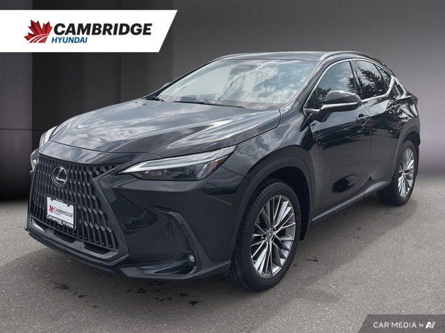 2022 Lexus NX NX 350h in Cars & Trucks in Cambridge
