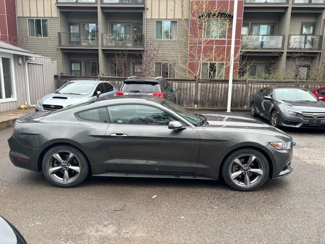 2015 Ford Mustang V6 1 OWNER NO ACCIDENTS ONLY 88000KM in Cars & Trucks in Cambridge - Image 4