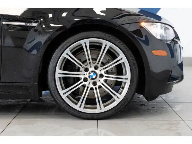 2008 BMW 3 Series Base in Cars & Trucks in Vancouver - Image 20