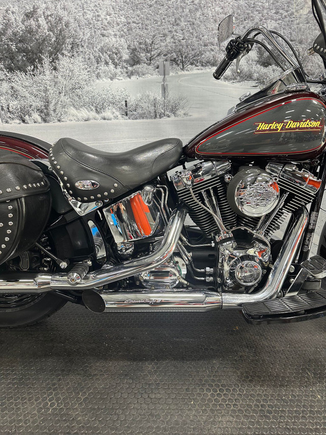 2001 HARLEY DAVIDSON HERITAGE SOFTAIL . in Street, Cruisers & Choppers in Moncton - Image 3