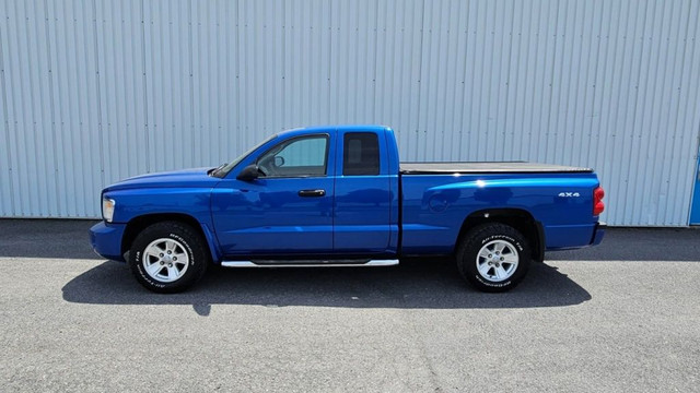 2008 Dodge Dakota SXT in Cars & Trucks in Longueuil / South Shore - Image 3