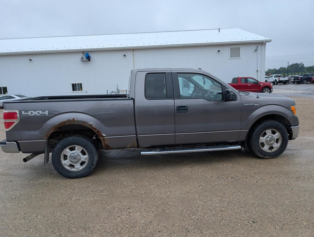 2014 Ford F-150 4WD SuperCab 145" in Cars & Trucks in Stratford - Image 4