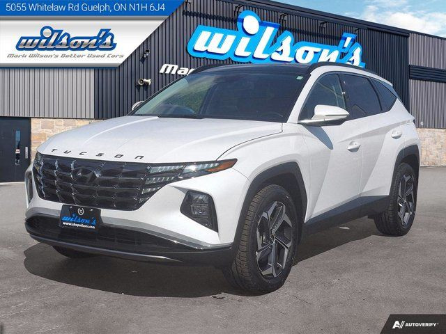 2023 Hyundai Tucson Hybrid Luxury Hybrid | Leather | Panoroof in Cars & Trucks in Guelph