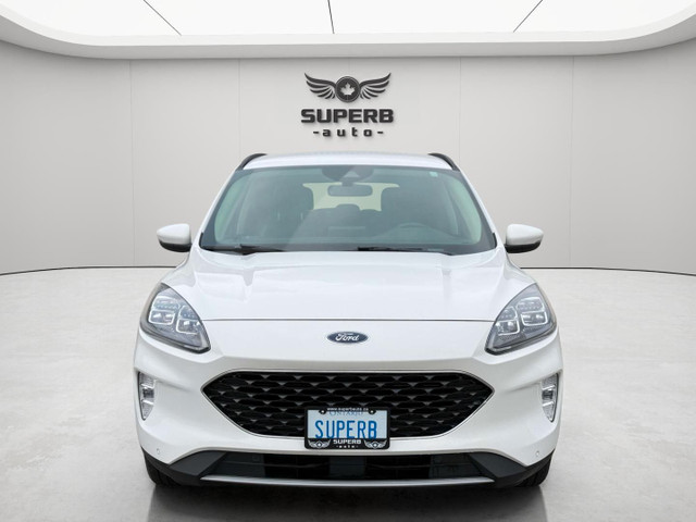 2020 Ford Escape Hybrid TITANIUM | AWD | NO ACCIDENT | B&O SOUND in Cars & Trucks in City of Toronto - Image 2