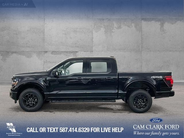 2025 Ford F-150 XLT in Cars & Trucks in Calgary - Image 4