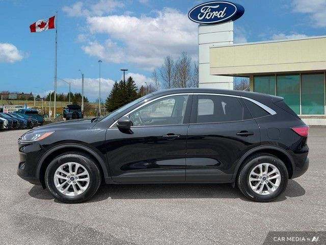 2022 Ford Escape SE in Cars & Trucks in Kitchener / Waterloo - Image 4