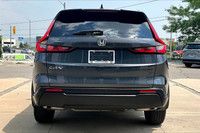 FINANCE OR LEASE PURCHASE PRICE: $33,900 + HST + Finance/Lease Fee + Licensing CASH PRICE: $35,900 +... (image 5)