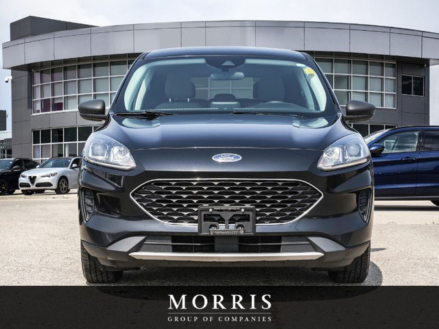 2022 Ford Escape SE Hybrid in Cars & Trucks in Winnipeg - Image 2