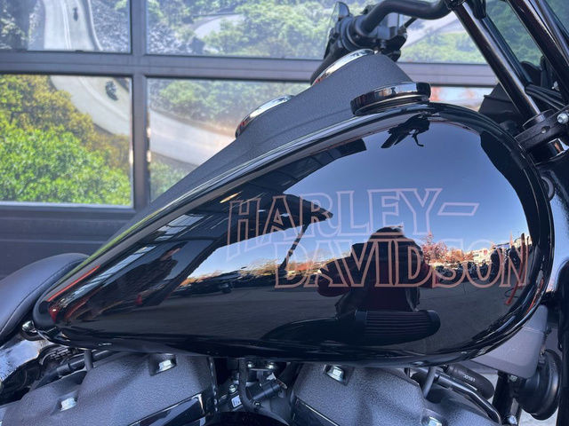 2021 Harley-Davidson FXLRS - Low Rider S in Street, Cruisers & Choppers in Calgary - Image 3