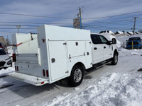 See Dealer Website for Details. 2017 Ford Super Duty F-250 SRW (image 3)